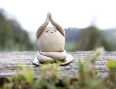 meditant2
